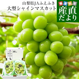 <strong>山梨</strong>県産　JAふえふき 大型シャインマスカット 約1.2キロ（2房）送料無料 ぶどう ブドウ 種なしぶどう クール便発送 <strong>お中元</strong> ギフト