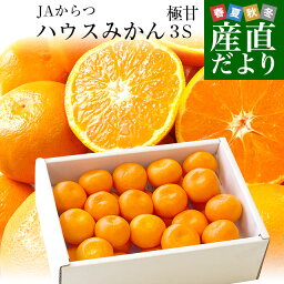 佐賀県より産地直送　JAからつ　<strong>ハウスみかん</strong>　3Sサイズ 　約1.2キロ（約30玉）　蜜柑　ミカン　送料無料