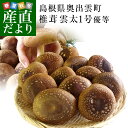 送料無料 島根県より産地直送 奥出雲椎茸 オリジナル椎茸 雲...