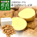 送料無料 鹿児島県産 JA鹿児島いずみ 赤土ばれいしょ 新じゃが ニシユタカ Mサ