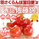 山形産さくらんぼ　「秀品 佐藤錦」 Mサイズ 1キロ (500g×2パック）2,800円！※6月20日〜7月10日発送翌日便でお届け！品質にこだわり、摘みたてをすぐに発送。ショップ・オブ・ザ・イヤー受賞記念！産直だよりオリジナル秀品さくらんぼ！