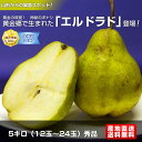 山形産エルドラド　5キロ（12玉〜24玉）秀品黄金の味覚！　神秘の洋ナシ黄金郷で生まれた「エルドラド」登場！