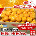 《送料無料》 熊本産　夢未来「極旨小玉みかん」たっぷり　5キロ（60個〜80個）⇒1,980円