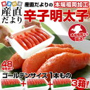 送料無料 福岡加工 辛子明太子 ゴールデンサイズ 1本もの 約280g(6から7本)×3箱