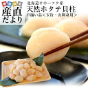 北海道より直送 北海道オホーツク産 ホタテ貝柱 玉冷 ご家庭用500g (20玉から25玉前後) 送料無料 帆立 ほたて シーフード