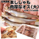 北海道産 本ししゃも 肉厚なオス 30尾 約750g