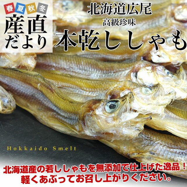 北海道から直送　北海道・広尾産　本乾ししゃも　25から30本前後　柳葉魚　シシャモ