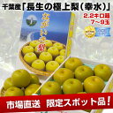 千葉産　長生の幸水梨2.2キロ箱　7〜9玉⇒衝撃の　2,980円緊急スポット！