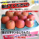 青森JAつがる弘前 糖度13度「葉とらずサンふじりんご」3kg（9玉〜13玉） 産地直送品糖度はなんと13度以上！の葉とらず林檎3,000円をなんと⇒1,000円！お一人様3箱迄