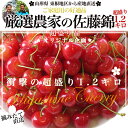 楽天総合1位のさくらんぼ！送料無料　山形県より産地直送　厳選農家の さくらんぼ佐藤錦　超盛　Mサイズ　約1.2キロ （300g×4入れ）