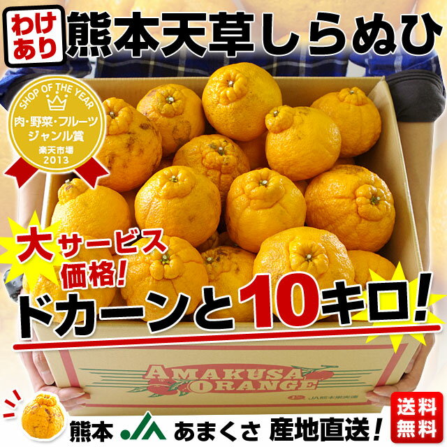 熊本　JAあまくさ　産地直送！訳あり 熊本天草しらぬひ10キロ3,980円・送料無料！中身の果実に問題なし、外皮に大きな黒点や、風等の影響でスレやキズができてしまっている訳あり品