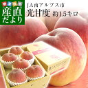 送料無料 山梨県より産地直送 JA南アルプス市 南アルプスの...