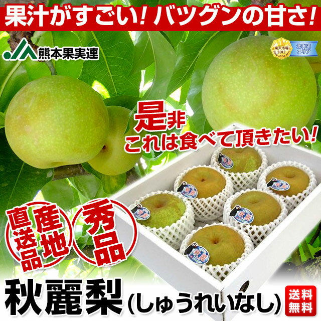 JA熊本果実連　秋麗（しゅうれい）梨　秀品 2キロ　大玉（5玉〜6玉)新しいタイプの青梨！がデビュー