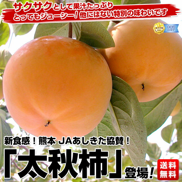 新食感！熊本　JAあしきた「太秋柿」3.5キロ（8玉〜14玉）2,980円・送料無料！産地直送　超目玉品！サクサクとして果汁たっぷり、そして、甘い果肉は、柔らかくジューシー！