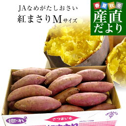 茨城県より産地直送 JAなめがた さつまいも「<strong>紅まさり</strong>(べにまさり)」 Mサイズ 約5キロ(18本前後） 送料無料 さつま芋 サツマイモ 薩摩芋