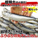 Á÷ÎÁ̵ÎÁ¡¡Ë̳¤Æ»»º¡¡Ä¶ÆÃÂ礤¤ï¤·´Ý´³¤·¡¡µðÂ祥󥰥µ¥¤¥º¡¡20Èø¥»¥Ã¥È¡¡2¥¥í¡¡¡Ê1Èø100g°Ê¾å¡ß20Èø¡Ë