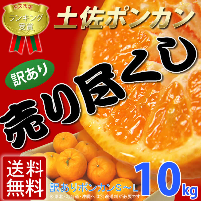 3月10日発送2000円ポッキリ 売り尽くし！≪訳あり 土佐ポンカン 10kg≫★送料無料 ぽんかん 産地直送 訳ありグルメ 人気 ランキング1位★みかん 今人気の訳あり 土佐ポンカン10kg送料無料