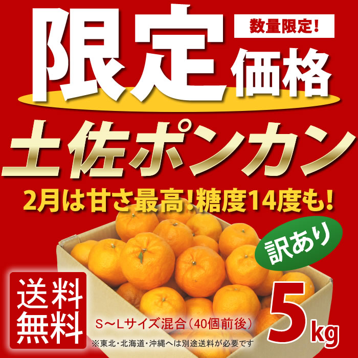 ランキング1位≪訳あり 土佐ポンカン 5kg≫★送料無料 高知県産 ぽんかん 産地直送 格安 みかん 訳ありグルメ 人気 ランキング1位※このページだけの超特価★今一番人気のポンカン！訳あり 土佐ポンカン5kg送料無料