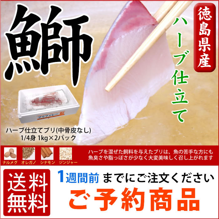 ハーブ仕立てブリ（中骨皮なし）1/4身 0.5kg×4パック 宅配便 送料無料★★鰤 海の…...:sancyokubin:10000138