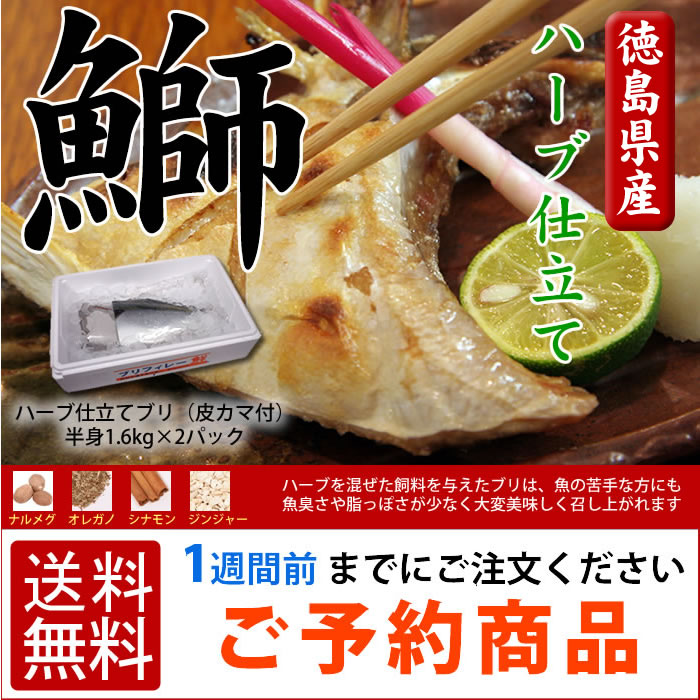 ハーブ仕立てブリ（皮カマ付）半身1.6kg×2パック 宅配便 送料無料★★鰤 海の幸 ブリ…...:sancyokubin:10000139