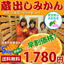 ≪徳島県産 訳あり 蔵出し 勝浦貯蔵みかん お試し 5kg≫送料無料ランキング1位 蔵出しみかん 訳アリ温州みかん 家庭用 ワケアリ メガ盛り 激安/％OFF送料無料 蔵出しみかん 温州みかん 訳あり ミカン 訳アリ ワケアリ 勝浦貯蔵みかん ランキング1位 激安 格安 産地直送 半額 ％OFF