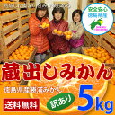 ≪徳島県産 訳あり 蔵出し 勝浦貯蔵みかん お試し 5kg≫送料無料ランキング1位 蔵出しみかん 訳アリ温州みかん 家庭用 ワケアリ メガ盛り 激安/％OFF送料無料 蔵出しみかん 温州みかん 訳あり ミカン 訳アリ ワケアリ 勝浦貯蔵みかん ランキング1位 激安 格安 産地直送 半額 ％OFF