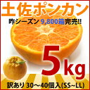 新春≪高知県産 訳あり 土佐 ポンカン 5kg≫送料無料 産地直送 みかん ぽんかん デコポン のような ミカン 訳アリ ワケアリ わけあり メガ盛り 激安/％OFFセール送料無料 タイムセール ポンカン みかん ぽんかん 訳あり デコポン のようなミカン 訳アリ ワケアリ わけあり 激安 格安 産地直送/ランキング ％OFFセール