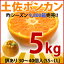 新春≪高知県産 訳あり 土佐 ポンカン 5kg≫送料無料 産地直送 みかん ぽんかん デコポン のような ミカン 訳アリ ワケアリ わけあり メガ盛り 激安/半額 ％OFFセール送料無料 ポンカン みかん ぽんかん 訳あり デコポン のようなミカン 訳アリ ワケアリ わけあり 激安 格安 産地直送/ランキング 半額 ％OFFセール