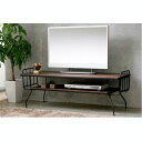 収納力も十分のテーブル【イームズ・アクタス・IKEA・dinos・カッシーナ・franc franc・NOCE・unico・東京インテリア・ニトリ・hhstyle・LOFT・ハンズ・CONTE・GART】が好きな方へ。ウォールナットとスチールのコンビネーションが美しい。収納力も十分の2段式リビングテーブル。【送料無料】DEPT Low board【CanadaFesta2010】【10P08mar10】【P08mar10 新規店 】【P0222】