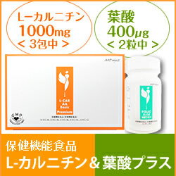 L-カルニチンと葉酸プラス セット Lカルニチン 人気サプリメント【おすすめ】