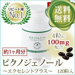 ピクノジェノール 〜エクセレントプラス〜【30日分・120粒】[pycnogenol 120]【DW_free】【0720otoku-f】【0720otoku-p】