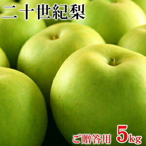 鳥取県産・二十世紀梨（20世紀梨） 最高ランク“赤秀”5kg詰（14玉前後入/大玉サイズ）【ギフトにも最適】≪送料無料≫【smtb-t】