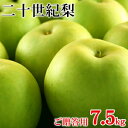 鳥取県産・二十世紀梨（20世紀梨） 最高ランク“赤秀”7.5kg詰（22玉前後入/大玉サイズ）≪送料無料≫楽天総合ランキングNo.1！本場ならではのシャリ感と爽やかさ