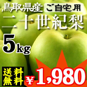 【期間限定！赤字特価セール】鳥取県産・二十世紀梨（20世紀梨）“優品”5kg詰（16玉前後入）【ご自宅用（訳あり）】≪送料無料≫【smtb-t】