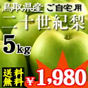 【期間限定！赤字特価セール】鳥取県産・二十世紀梨（20世紀梨）“優品”5kg詰（16玉前後入）【ご自宅用（訳あり）】≪送料無料≫【smtb-t】