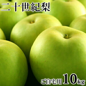 鳥取県産・二十世紀梨（20世紀梨）“優品”10kg詰（32玉前後入）【ご自宅用（訳あり）】≪送料無料≫