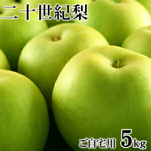 鳥取県産・二十世紀梨（20世紀梨）5kg詰（16玉前後入/L〜3Lサイズ）【ご自宅用（訳あり）】≪送料無料≫【smtb-t】