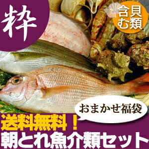 【山陰沖産】旬の朝とれ魚介類セット（貝類含む）【粋】 産地直送の海鮮福袋！≪送料無料≫