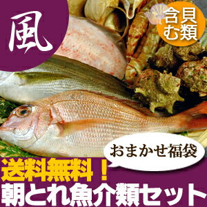 【山陰沖産】旬の朝とれ魚介類セット（貝類含む）【風】 産地直送の海鮮福袋！≪送料無料≫【smtb-t】送料無料！さばいて発送可能！