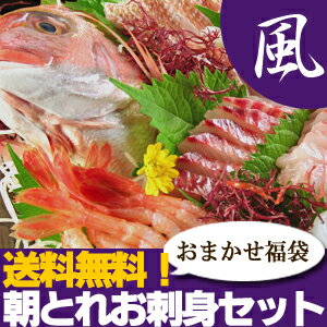 お皿に盛り付けてお届け！【山陰沖産】朝とれお刺身セット【風】（4〜5人前） 未冷凍のとれたて“生”！産地直送の海鮮福袋！≪送料無料≫【smtb-t】送料無料！ピチピチ天然活魚の豪華お刺身盛り合わせ！