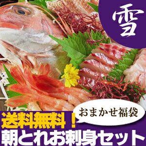 お皿に盛り付けてお届け！【山陰沖産】朝とれお刺身セット【雪】（7〜9人前） 未冷凍のとれたて“生”！産地直送の海鮮福袋！≪送料無料≫