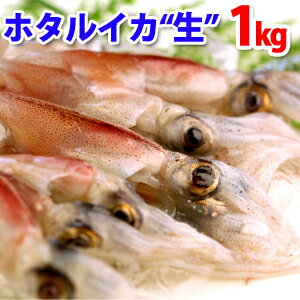 ［2012新物］ “生（急速冷凍）“ホタルイカ（蛍烏賊/ほたるいか）約1kg(150匹前後入)≪送料無料≫プリッとした歯ごたえと独特の旨み！