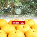 広岡農場のあきづき10kg詰(16~24玉入) 鳥取県産 梨 赤秀(ご贈答用) 送料無料(北海道・沖縄を除く)