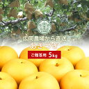 広岡農場のあきづき5kg詰(8~12玉入) 鳥取県産 梨 赤秀(ご贈答用) 送料無料(北海道・沖縄を除く)