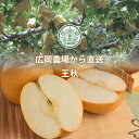 広岡農場の王秋梨(おうしゅうなし)5kg詰(7玉前後入) 鳥...