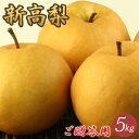 新高梨(にいたかなし)5kg詰(7玉前後入) 鳥取県産 赤秀(ご贈答用) 送料無料