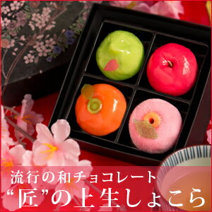 日本三大菓子処「松江」伝統の味！ “匠の四撰”上生しょこら（バレンタイン チョコ ネット限定） 5セット以上のご購入で送料無料チョコとあんの新鮮な出会い！