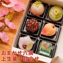 おまかせ六撰 上生菓子詰合せ(簡易パッケージ) 和菓子 送料無料(北海道・沖縄を除く)