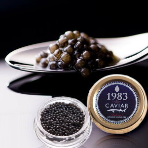 【送料込】宮崎県産本格熟成キャビア MIYAZAKI CAVIAR 1983（20g）（ ジャパン・キャビア チョウザメ 国産 テレビ・メディア 本格熟成 岩塩 フレンチ ギフト 贈り物 ）[産経ネットショップ]