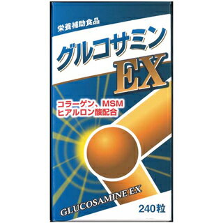 JS グルコサミンEX　240粒